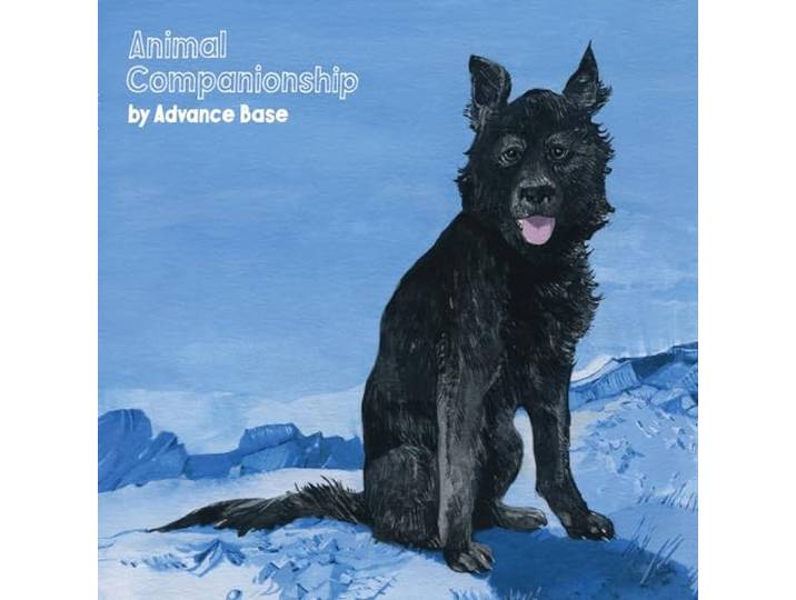 Animal Companionship-Vinyle Transparent