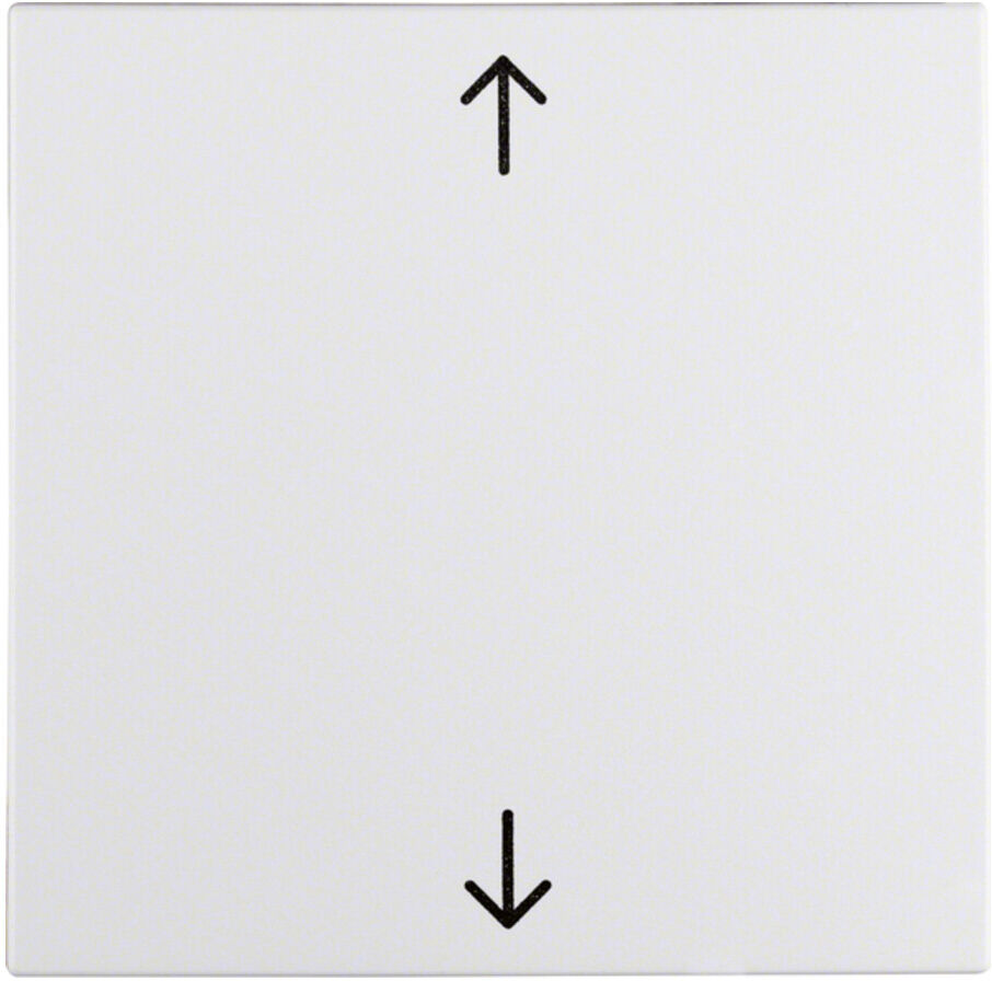 Berker Wippe pws Symbol Pfeil 16201919)