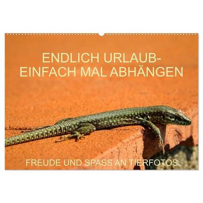 Freude und Spaß an Tierfotos (Wandkalender 2027 DIN A2 quer), CALVENDO Monatskalender