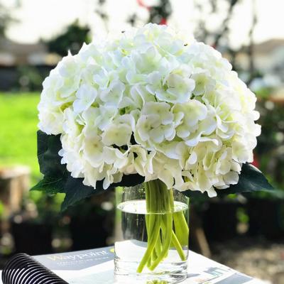 Enova Home Cream Artificial Silk Hydrangea Flowers Arrangement in Clear Cylinder Glass Vase with Faux Water for Home Decór