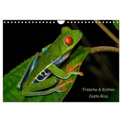 Frösche & Kröten Costa Rica (Wandkalender 2027 DIN A4 quer), CALVENDO Monatskalender