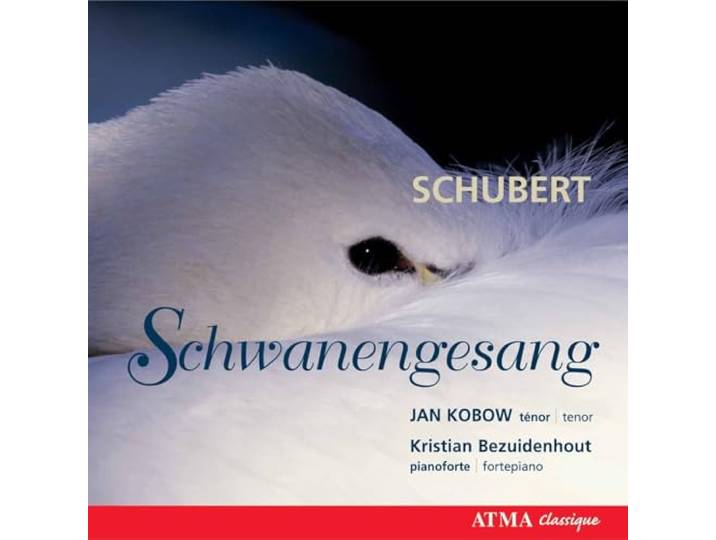 Kobow, Jan/Kristian Bezuidenhout - Schwanengesang/ Mendelssohn: Lieder