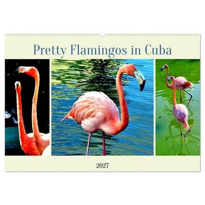 Pretty Flamingos in Cuba (Wandkalender 2027 DIN A2 quer), CALVENDO Monatskalender