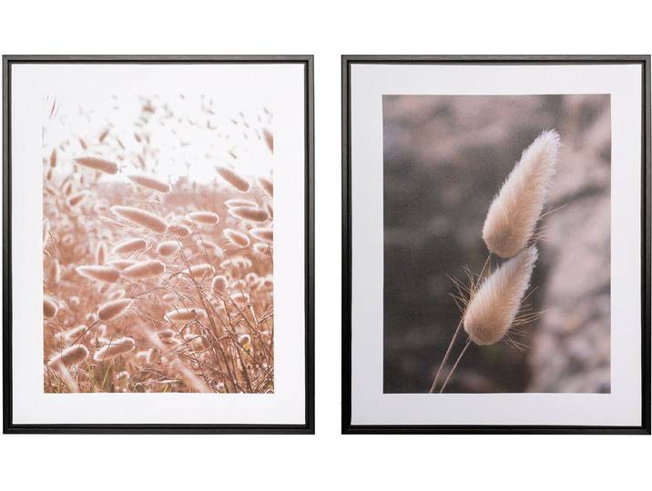 Bild mit Rahmen CREATIV HOME Schilf , beige (farbe rahmen: schwarz, farbe bild(er): natur), B:40cm H:50cm T:2,5cm, Papier, Bilder, Bild mit Rahmen, auf Canvas-Leinwand