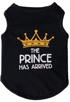 Inspired Finds PrincessPaws Summer Cotton Cat Vest For Sphynx, Garfield & Small Pets black Prince xs