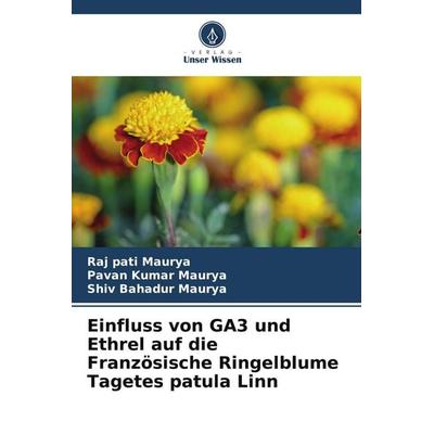Einfluss von GA3 und Ethrel auf die Französische Ringelblume Tagetes patula Linn, Taschenbuch von Raj pati Maurya,Pavan Kumar Maurya,Shiv Bahadur