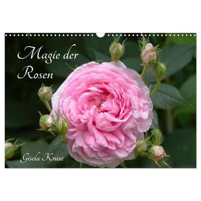 Magie der Rosen (Wandkalender 2027 DIN A3 quer), CALVENDO Monatskalender