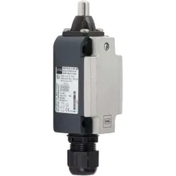 Stahl Positionsschalter 8074/2-1-W-40