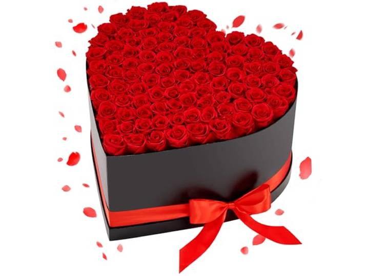 VEVOR Rose Éternelle 100 Fleurs Éternelles Préservées Boîte Cœur\, Bouquet Rose Éternelle\, Cadeau pour Elle\, Femme\, Épouse\, Maman\, Sœur\, Mamie\, Amie\, Anniversaire\, Saint-Valentin\, Noël\, Rouge Classique