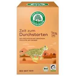 Lebensbaum Ingwer & Elan bio (20Btl)