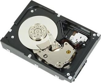 Dell Nearline Harde schijf 4 TB intern