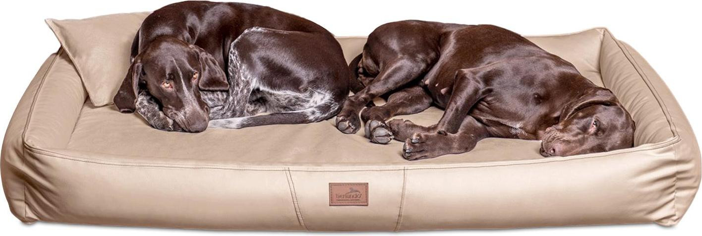Tierlando Orthopedisch Hondenbed Clifford Latex Soft in Beige, 85 x 60 cm