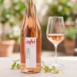 Weingut Wurm 2024 Wurm Lorcher Rosé trocken 2024 Cabernet Sauvignon,Spätburgunder Deutschland