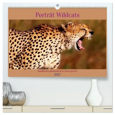 Porträt Wildcats (hochwertiger Premium Wandkalender 2027 DIN A2 quer), Kunstdruck in Hochglanz