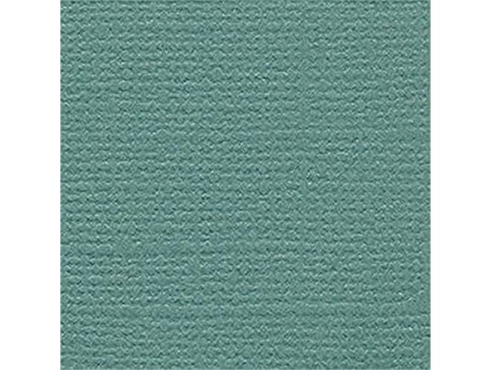 Bazzill Basics Paper 25 ScrapBooking Bladen Canvas Textuur, Lagoon