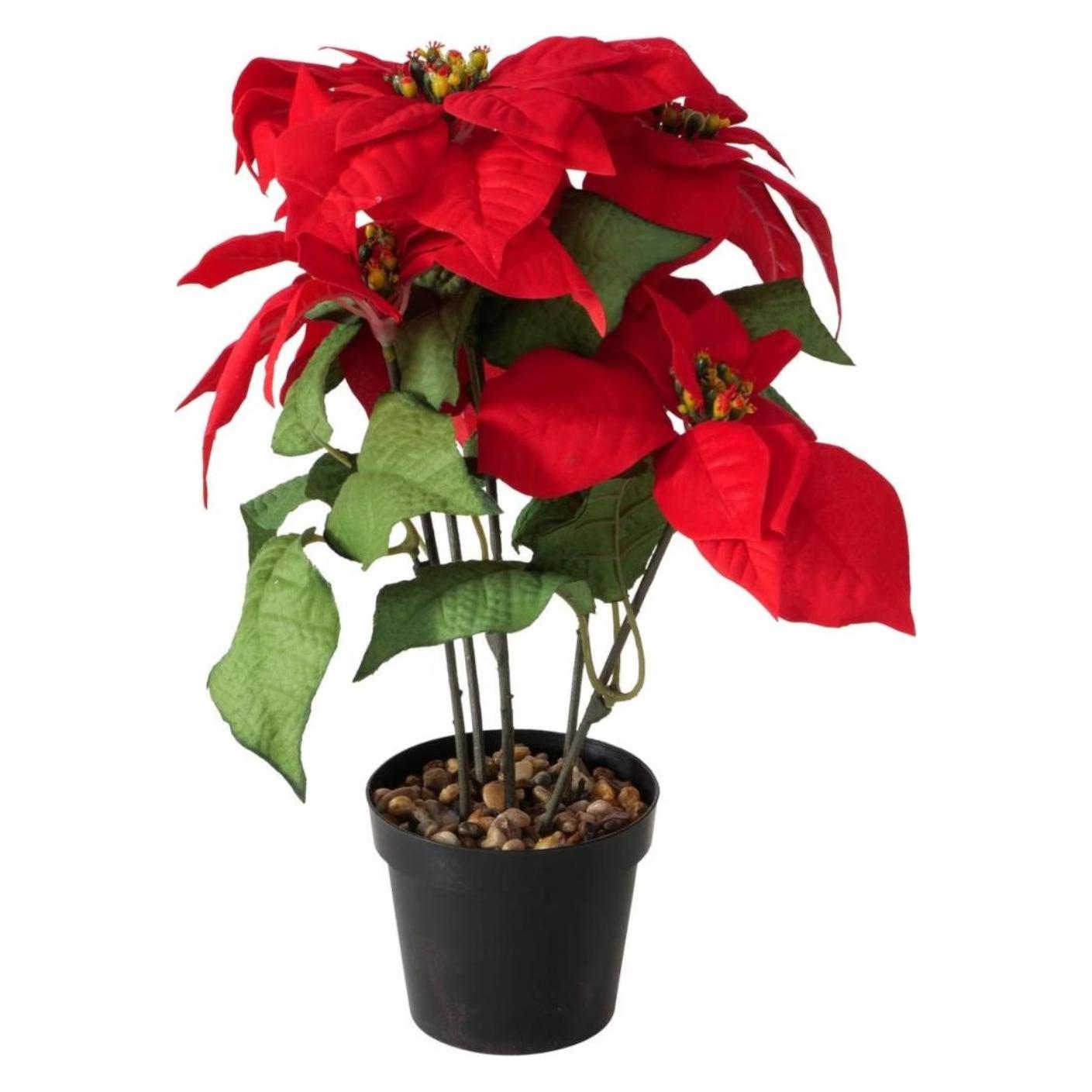 Boltze Home Weihnachtsstern (2048633)