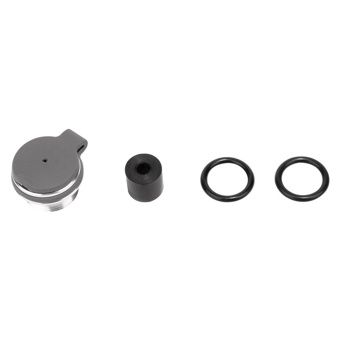 Topeak Parts Kit - Roadie DAX / Roadie DA / Roadie DA G (Ersatzteil Handpumpe) (56396451)