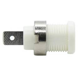 Mueller Electric BU-31610-9 Bananenbuchse Buchse Stift-Ø: 6.4 mm Weiß 1 St. Piece