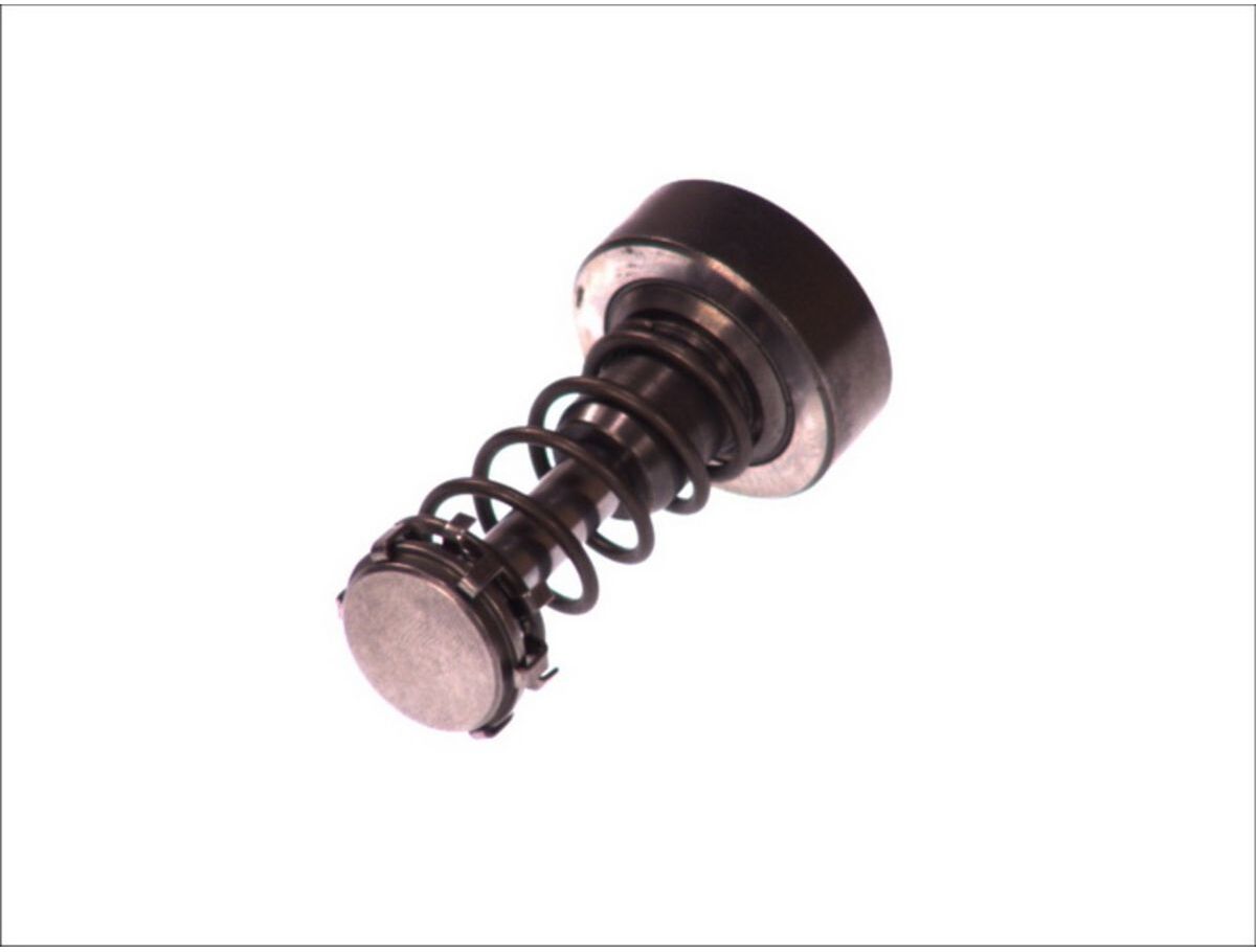 Bosch Pistone, pompa common rail F 01M 101 355