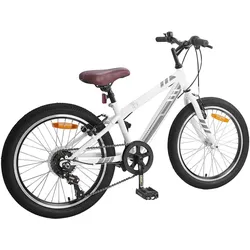 vidaXL, Mountainbike
