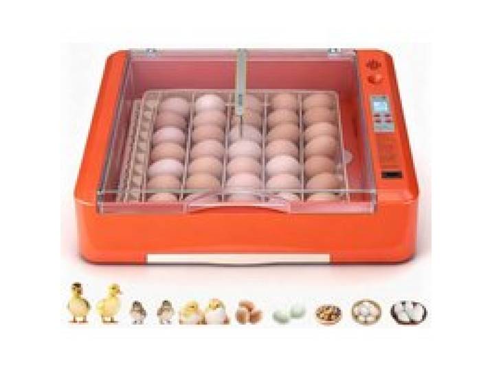 VEVOR Volautomatische broedmachine voor 36 eieren met eierkeerder, temperatuur- en vochtigheidsregeling, broedmachine voor het uitbroeden van kuikens, eenden, ganzen en kwartels.