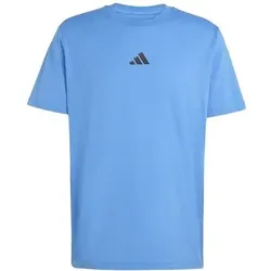 ADIDAS Herren Shirt CLIMACOOL TRAINING IDENTITY GRAPHIC, Größe XXL in Blau Blau
