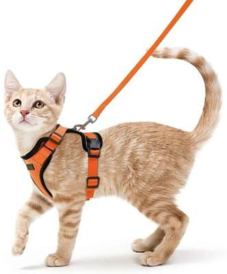 Uplifted Finds ATUBAN Escape Proof Cat Harness And Leash Set With Breathable Reflective Vest orange xs