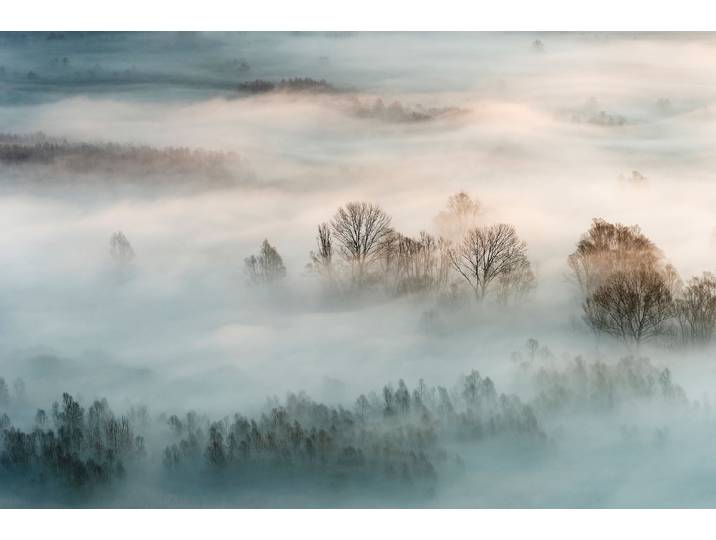 Fototapete PAPERMOON Photo-Art MARCO GALIMBERTI, WINTERNEBEL , bunt, B:5m L:2,8m, Vlies, Tapeten, Fototapete