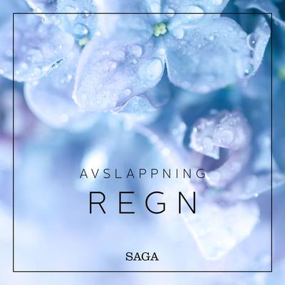 Avslappning - Regn - Rasmus Broe, Audio, 9788726185584