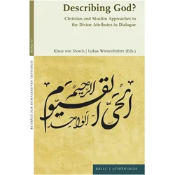 Describing God?, Fachbücher von Klaus Stosch, Lukas Wiesenhütter