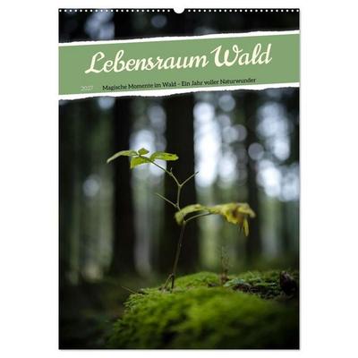 Lebensraum Wald (Wandkalender 2027 DIN A2 hoch), CALVENDO Monatskalender