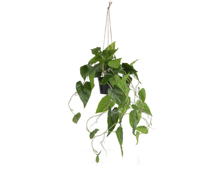 Coco Maison Philodendron Scandens H80cm Kunstpflanze