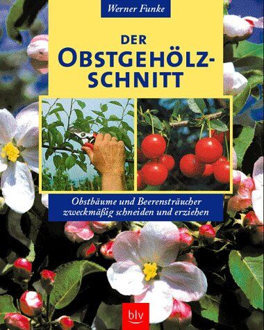 Werner Funke - Der Obstgehölzschnitt - Preis vom 09.10.2026 07:28:09 h
