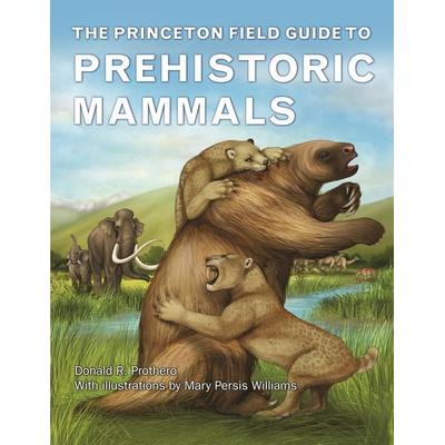 Princeton Field Guide to Prehistoric Mammals, Gebundene Ausgabe von Donald R. Prothero, Princeton Univers. Press, 978-0-691-15682-8