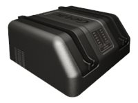 GETAC Dual bay - Batterieladegerät - Ausgangsanschlüsse: (GCMCE7)