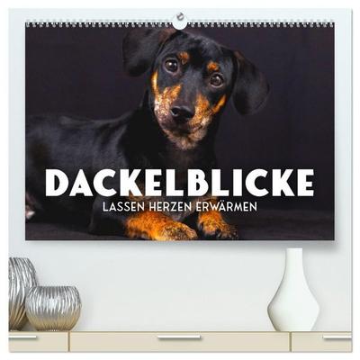 Dackelblicke - Lassen Herzen erwärmen. (hochwertiger Premium Wandkalender 2027 DIN A2 quer), Kunstdruck in Hochglanz