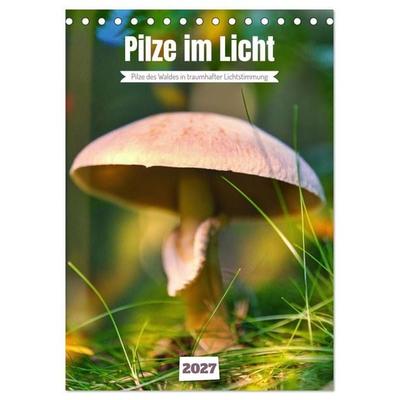 Pilze im Licht (Tischkalender 2027 DIN A5 hoch), CALVENDO Monatskalender