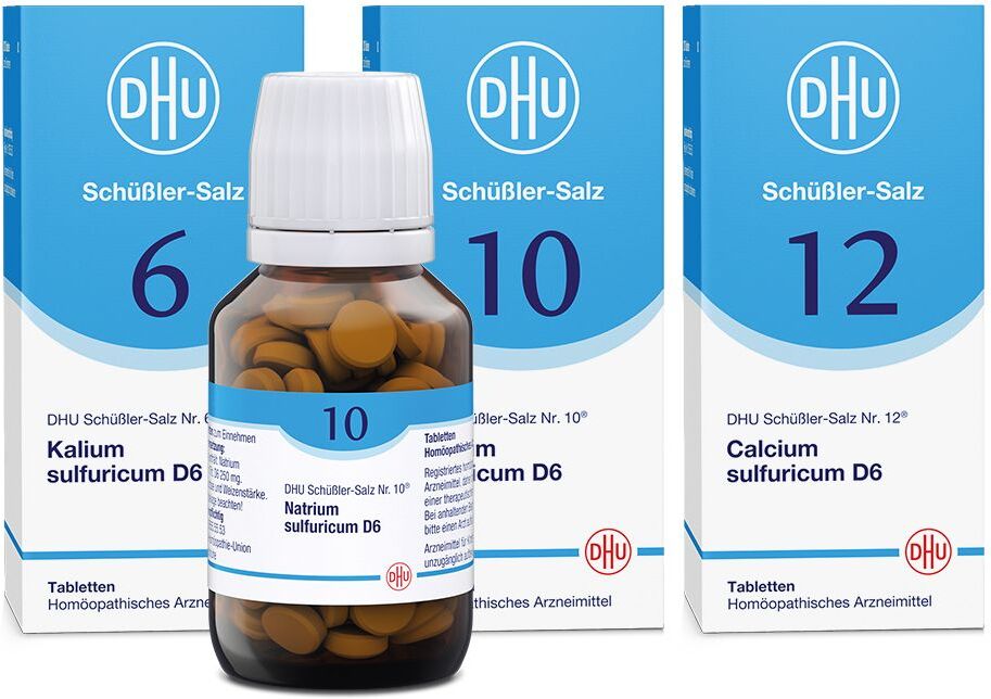 DHU Biochemie DHU Entgiftungskur 3x80 St Tabletten