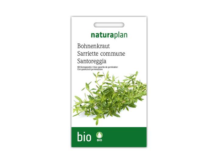 Naturaplan Bohnenkraut Einjährig
