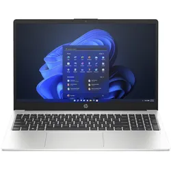 HP 250 G10 (15.60", 256 GB, 8 GB, DE, Intel Celeron N100), Notebook, Silber