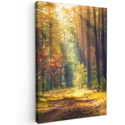 LEINWANDBILD Wald - Herbst - Bäume Wanddeko 40x60 cm