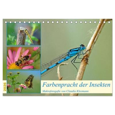 Farbenpracht der Insekten (Tischkalender 2026 DIN A5 quer), CALVENDO Monatskalender