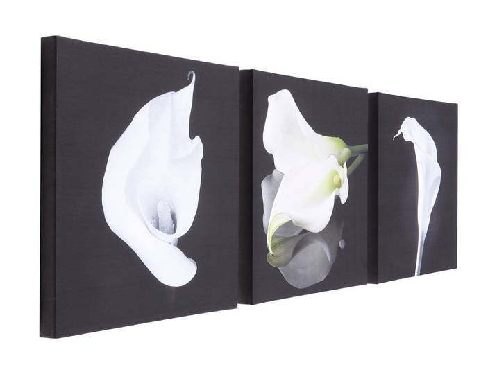 Wandbild-Set 30cm Lilies