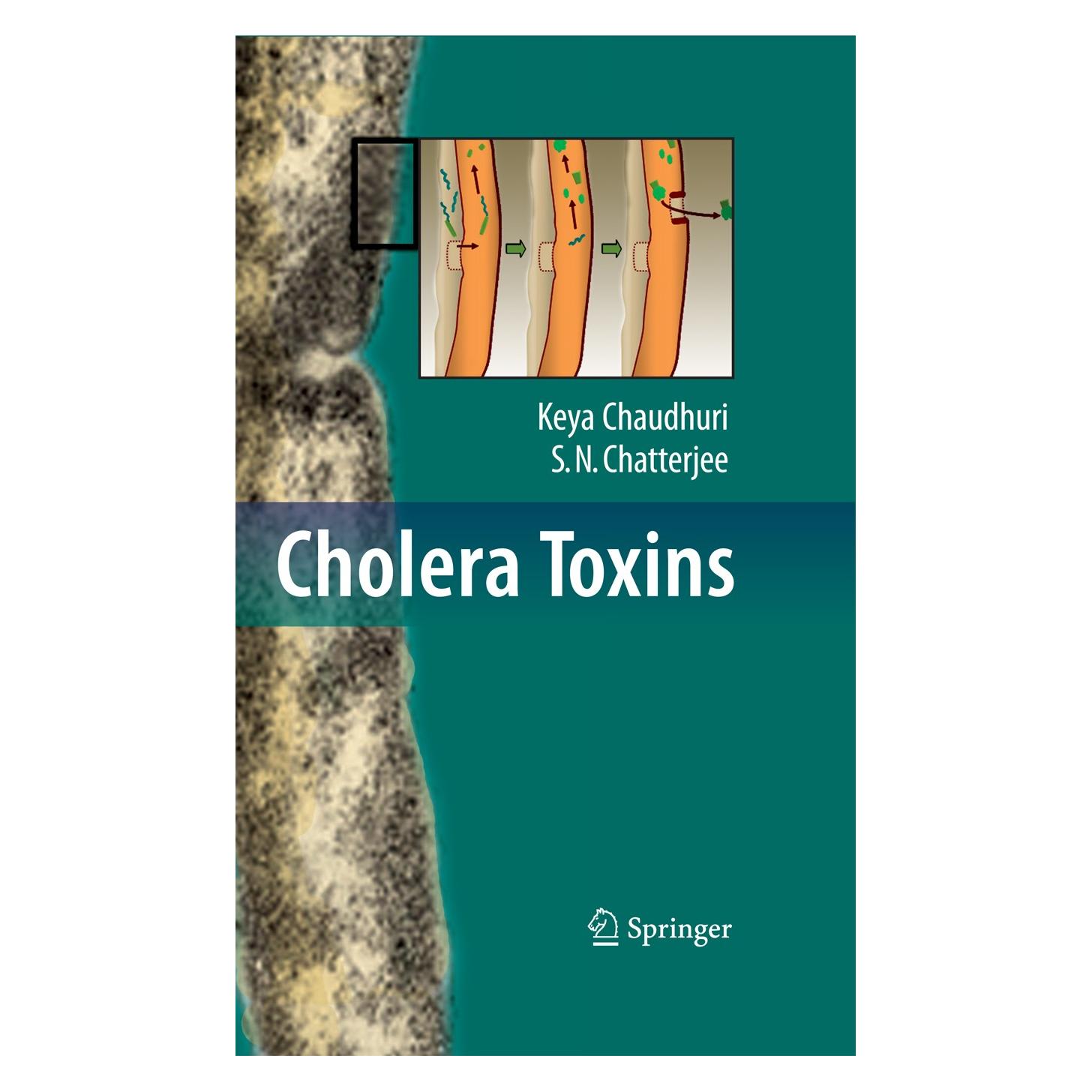 Springer Cholera Toxins (Englisch, Hardcover, Keya Chaudhuri, S. N. Chatterjee) (9783540884514)