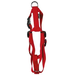 Martin Sellier XS (XS, Hund, Spazieren), Halsband + Leine