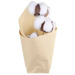 Chic Antique Fleur getrocknete Blume Baumwolle, L50 cm, creme