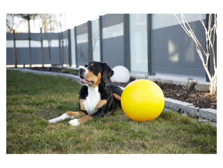 Spielball KERBL aus Kunststoff Ø 30 cm , gelb, H:30cm T:30cm Ø:30cm, Kunststoff, Bälle, Spielball