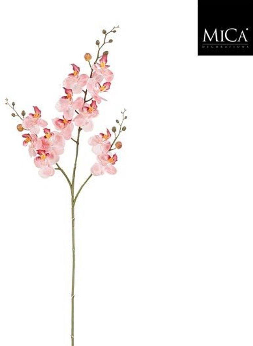 Phalaenopsis orchidee roze - Hoogte: 75 cm