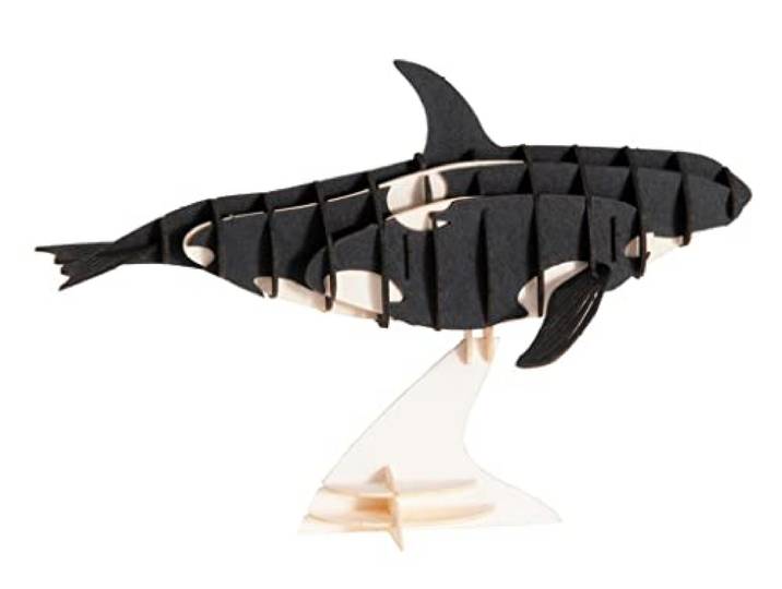 Fridolin Orca 3D-papiermodel