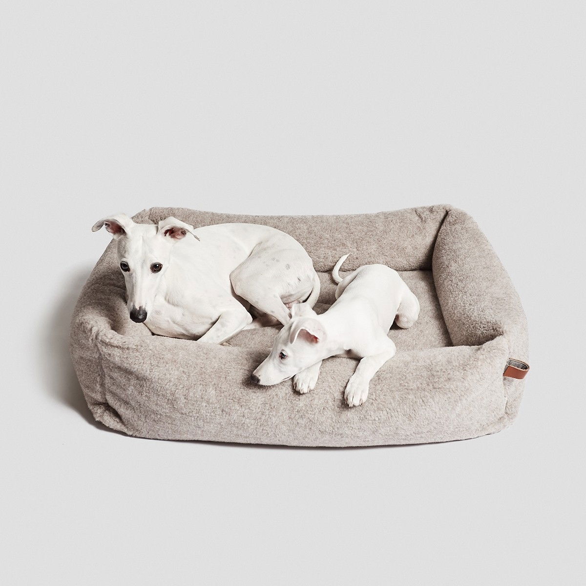 Cloud7 Hundbädd Sleepy De Luxe Teddy